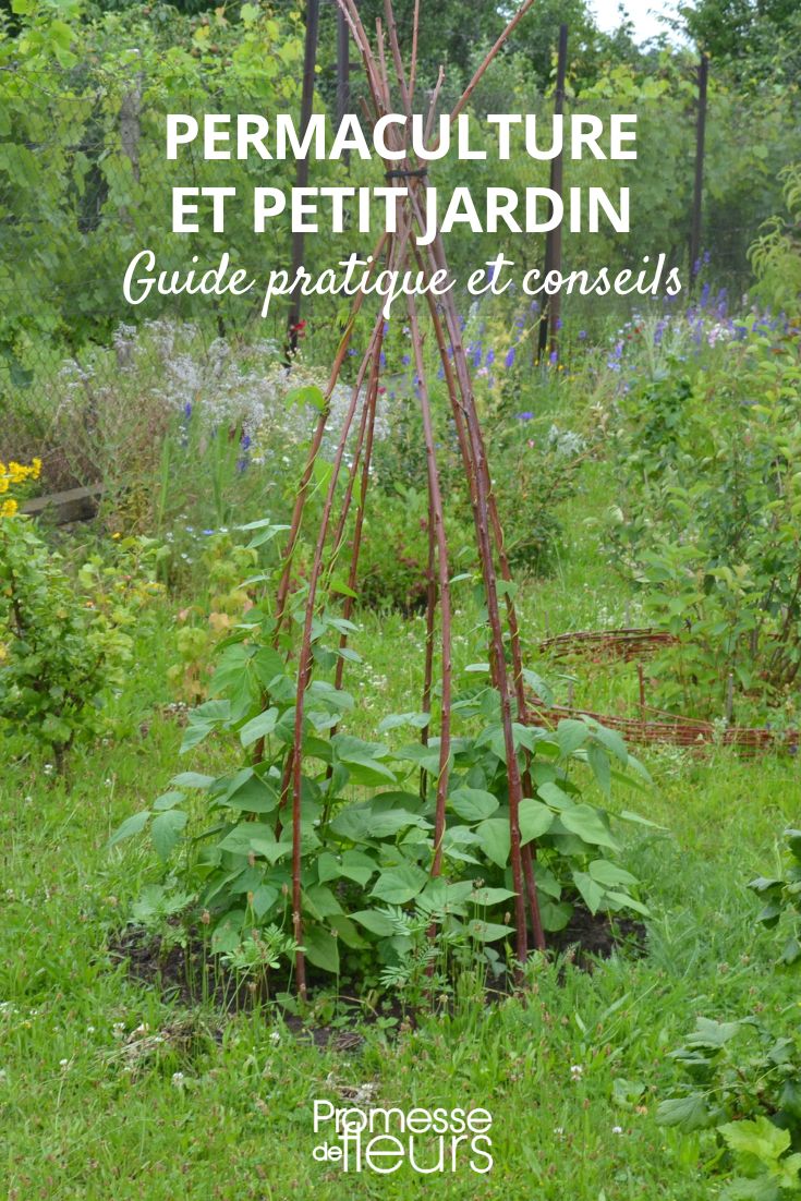 Can permaculture be implemented in a small garden?