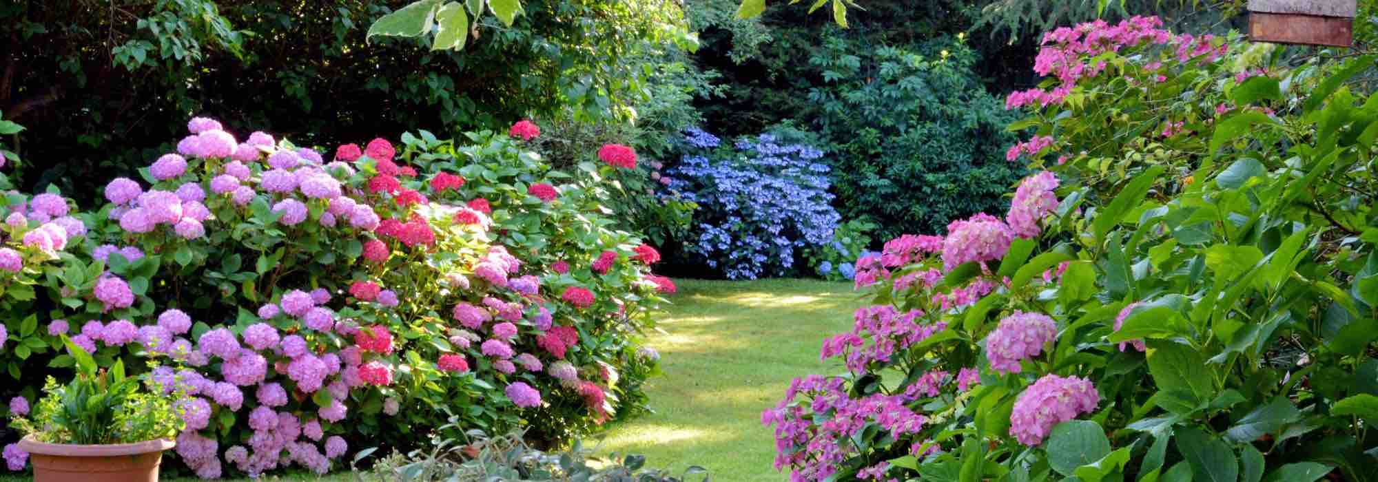 How to design an East-facing garden?