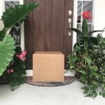 I have just received my order of plants: what should I do?