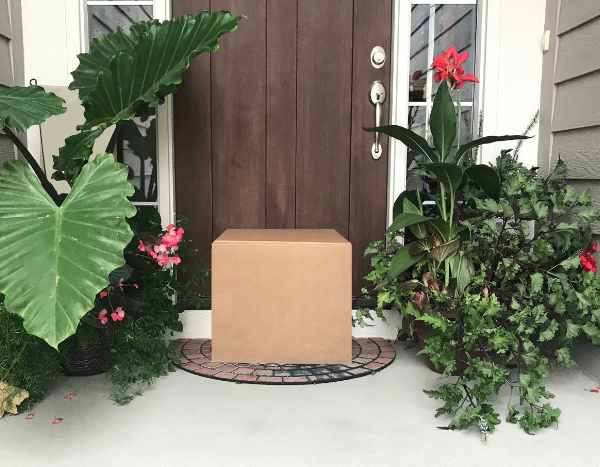 I have just received my order of plants: what should I do?