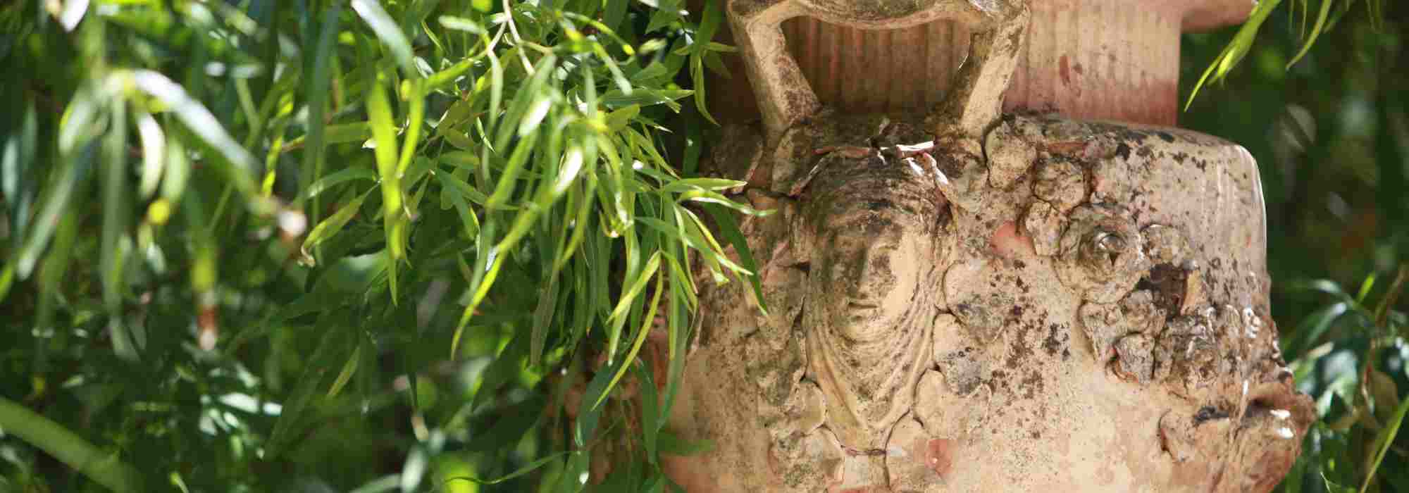 How to use and properly integrate terracotta pots in the garden?