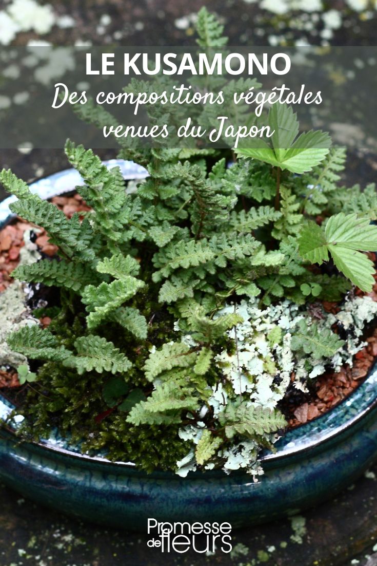 Kusamono floral arrangement