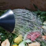 Why and how to water your compost?