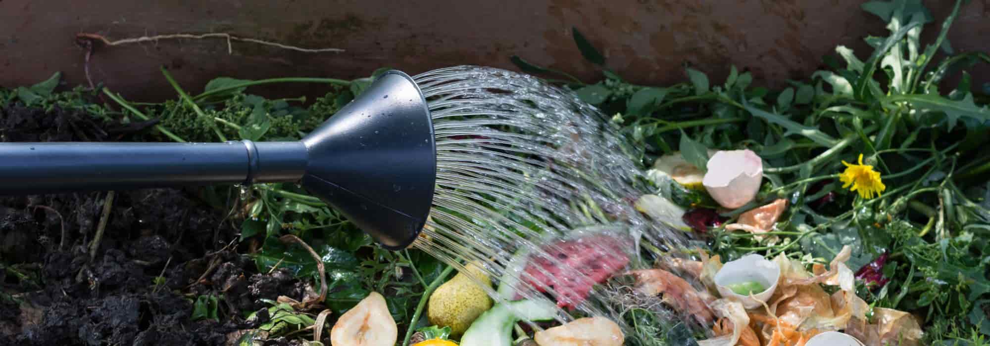 Why and how to water your compost?