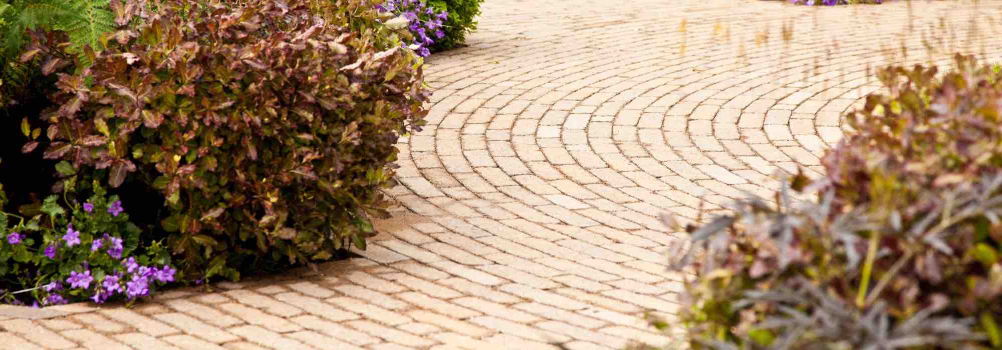 Our maintenance tips for keeping paving beautiful and clean all year round.