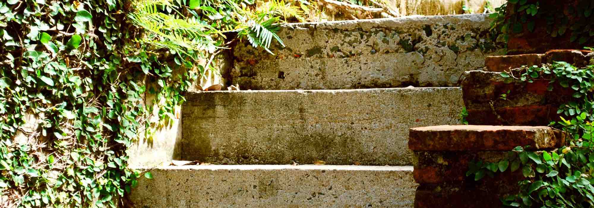 Creating garden steps: our tips to elevate your outdoor space
