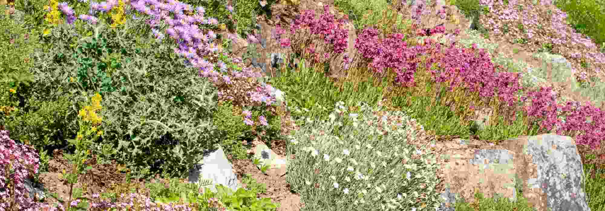 What landscaping ideas can enhance a sloping site?