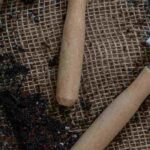 The essential tools for planting in the garden