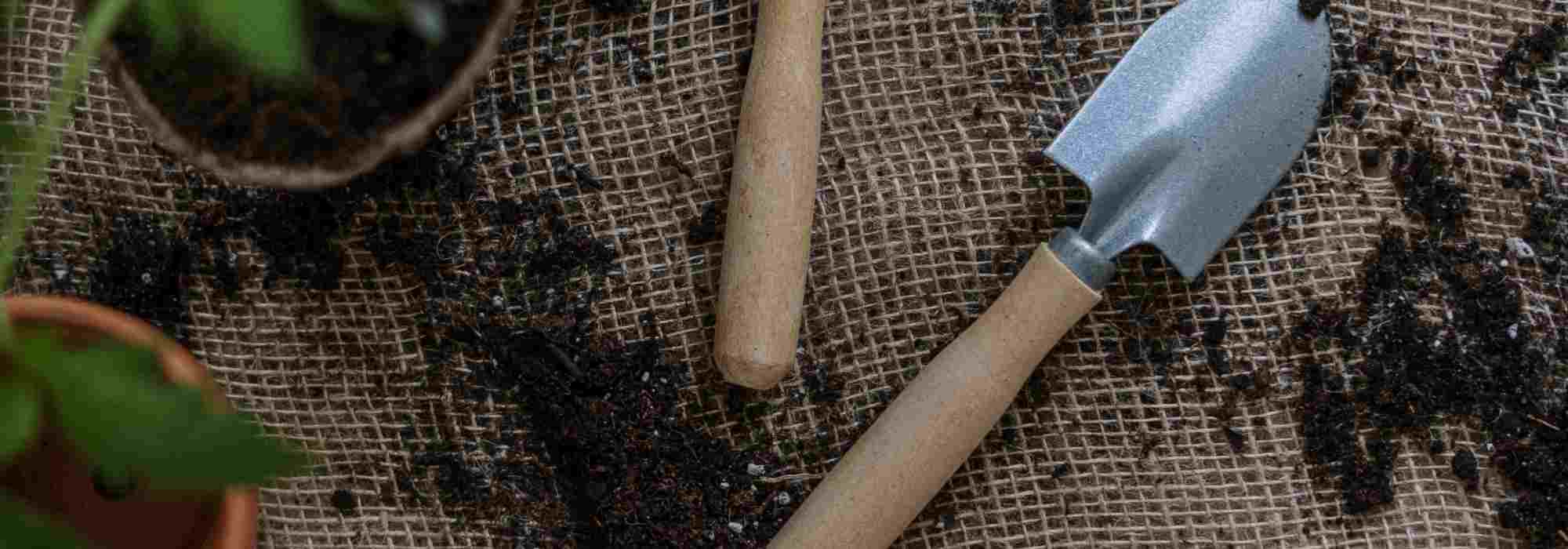 The essential tools for planting in the garden