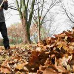 Garden maintenance: essential tools for tidying up and clearing up