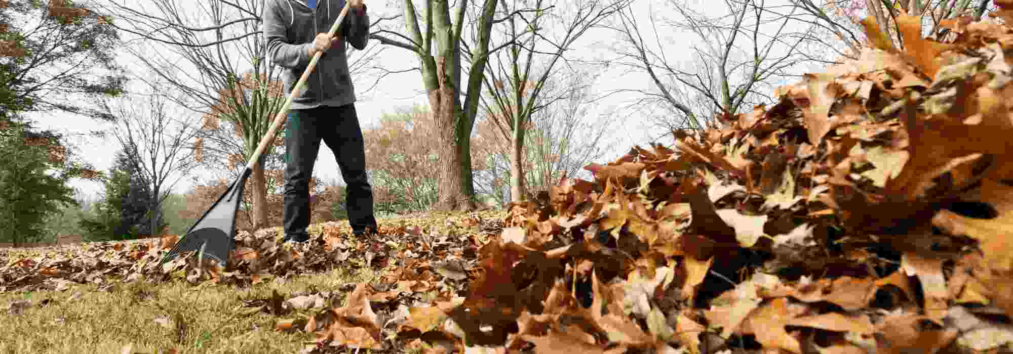 Garden maintenance: essential tools for tidying up and clearing up
