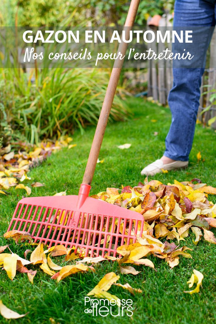 How to Maintain Your Lawn in Autumn Gardening Tasks for Autumn