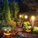 Haunted trail: transform your garden for Halloween