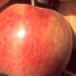 The 7 best apples for long-term storage