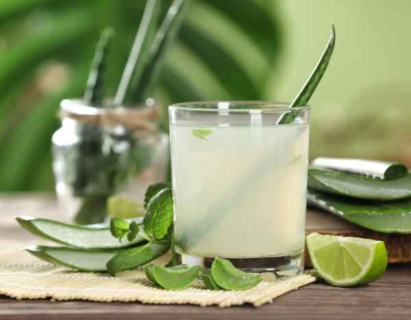 Beauty, cooking: how to harvest and use Aloe vera?