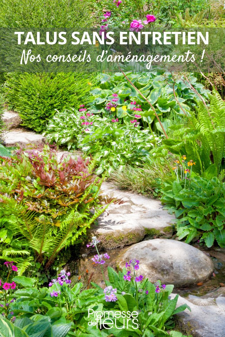 How to landscape a maintenance-free slope Slopes are often challenging areas to landscape, but with the right plants and design, they can become beautiful and functional parts of your garden. Here are some tips for landscaping slopes:
1. **Plant Selection**: Choose plants that have strong root systems to help prevent erosion. Groundcovers like creeping phlox or periwinkle are excellent choices. Shrubs like juniper or spirea can also help stabilize the soil.
2. **Terracing**: If the slope is steep, consider terracing it to create flat areas for planting. This will not only make maintenance easier but also prevent soil erosion.
3. **Mulching**: Mulch the slope to help retain moisture, prevent erosion, and suppress weeds. Organic mulches like wood chips or bark are good options.
4. **Watering**: Slopes tend to dry out quickly, so make sure to water regularly, especially during hot and dry periods.
5. **Maintenance**: Regular maintenance is key to keeping your slope looking its best. Prune plants as needed, remove weeds, and replenish mulch when necessary.
By following these tips, you can create a beautiful and sustainable landscape on your slope.
