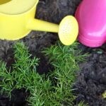 Introduce your children to gardening with age-appropriate, playful tools!