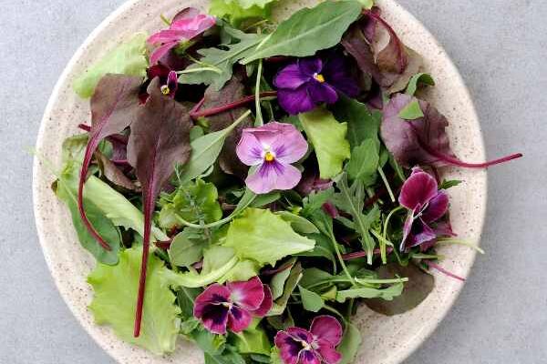 Edible flowers: pansies make their way into the kitchen!