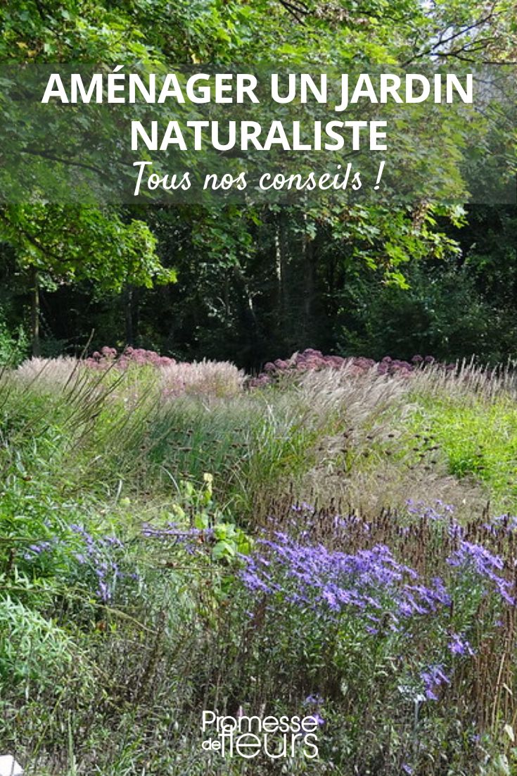 Copy of How to Create a Romantic Garden