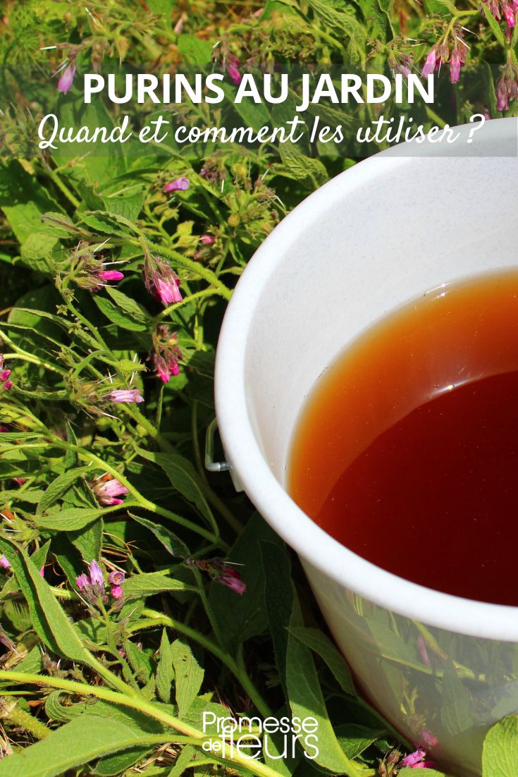 The use of plant-based brews in the garden