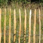 How to fence a garden on a budget?