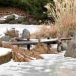 How to spot frost pockets in your garden?