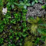 How do you create a living wall on a balcony?