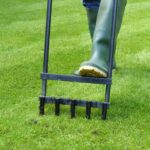 How to aerate your short grass meadow: step by step for a healthy lawn?