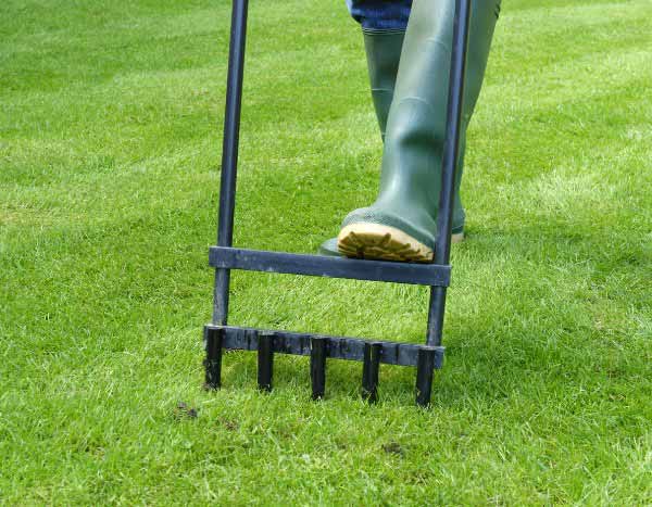 How to aerate your short grass meadow: step by step for a healthy lawn?
