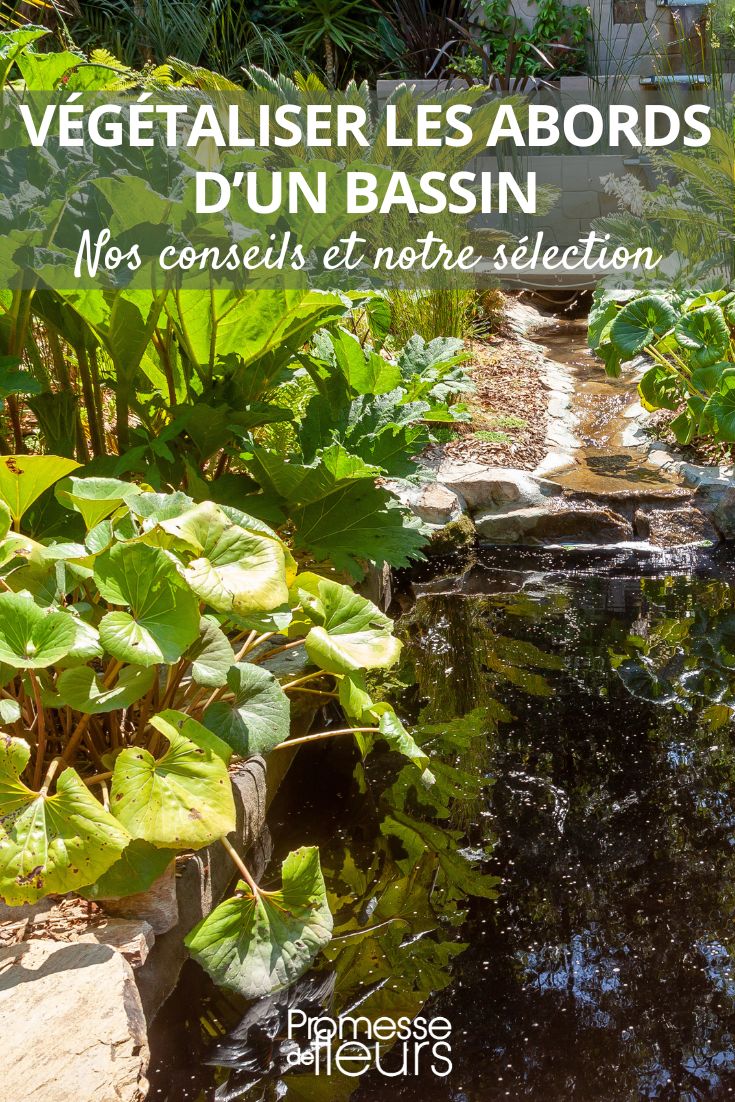 How to plant around a pond Landscaping around a pond