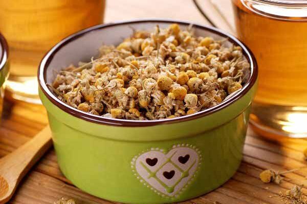 How to make infusion and maceration of *Matricaria chamomilla* to boost your crops?