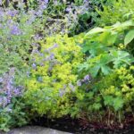 7 beautiful ideas to pair green flowered perennials