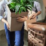 How to move your plants without damaging them?