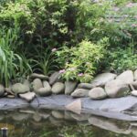 The best perennials to brighten up damp, shady areas