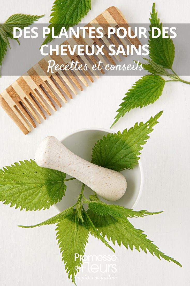 Des soins detox 100% naturels pour vos cheveux