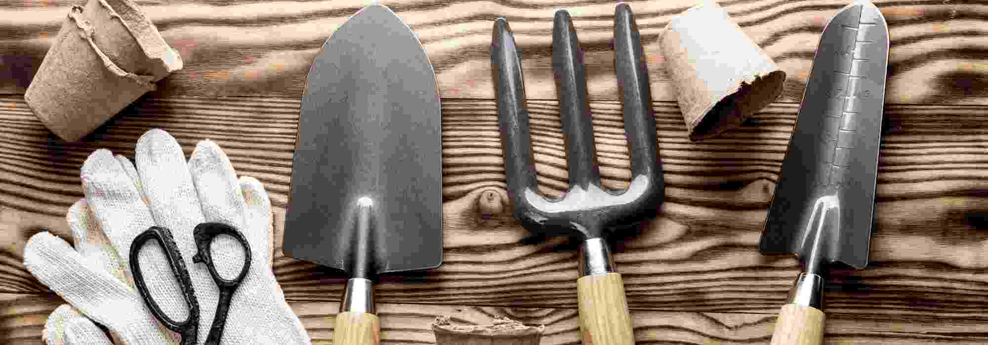 Gardening for beginners: how to choose your tools wisely?