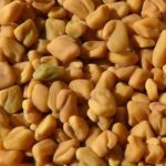 Growing medicinal plants: Fenugreek and its health benefits