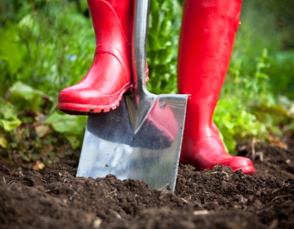 Beginner gardening: digging, what is it? How to do it?