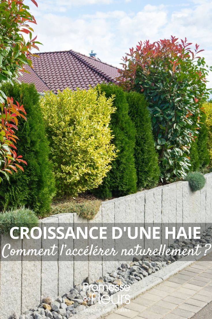 How to Naturally Accelerate the Growth of a Hedge mixed hedge