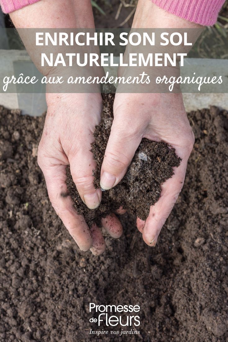How to enrich your soil naturally with organic amendments manure, leaf mould, compost - everything to enrich your soil