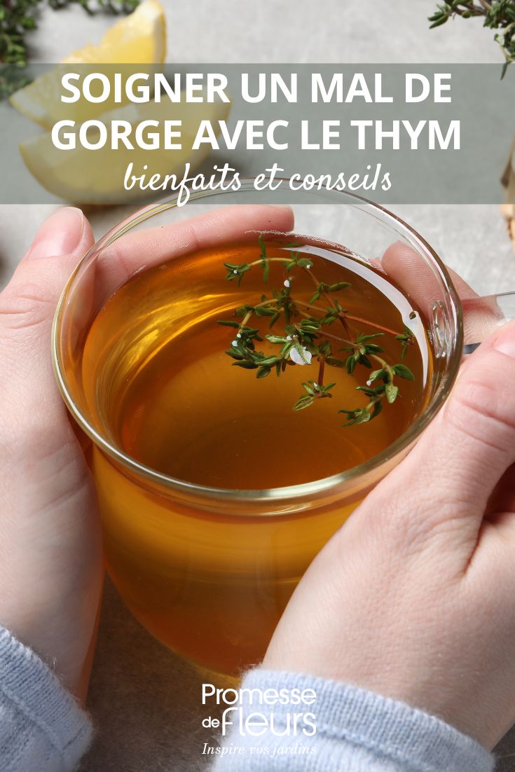 Thyme infusion helps soothe sore throats.