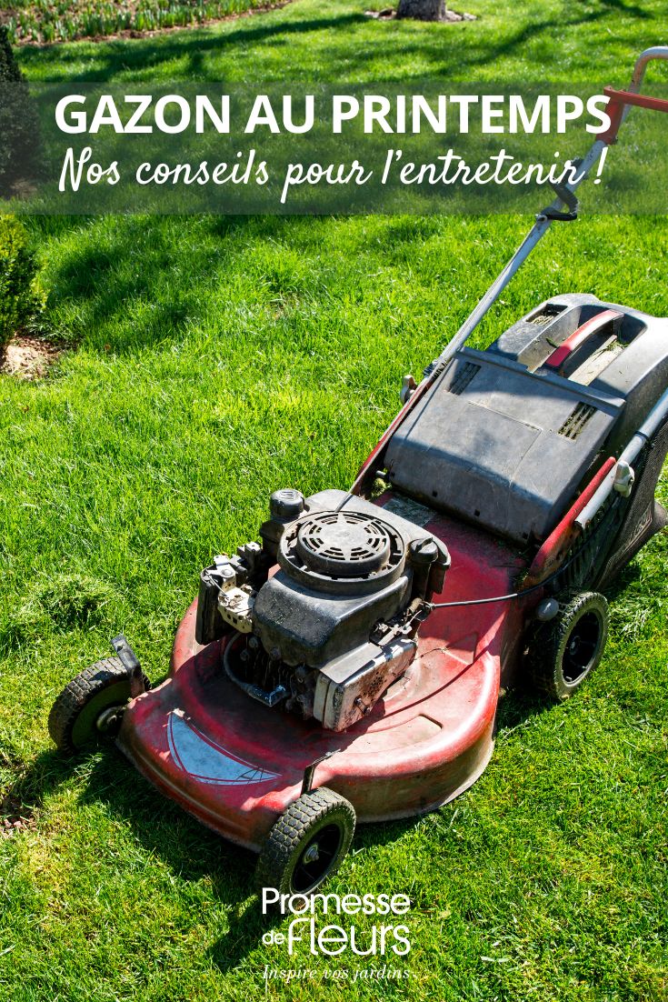 How to Maintain Your Lawn in Spring? lawn in spring