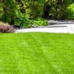 How to care for your lawn in spring?