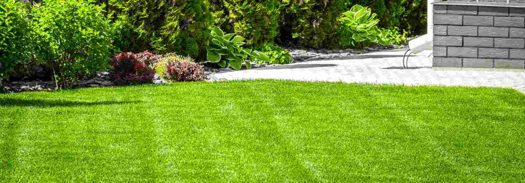 How to care for your lawn in spring?
