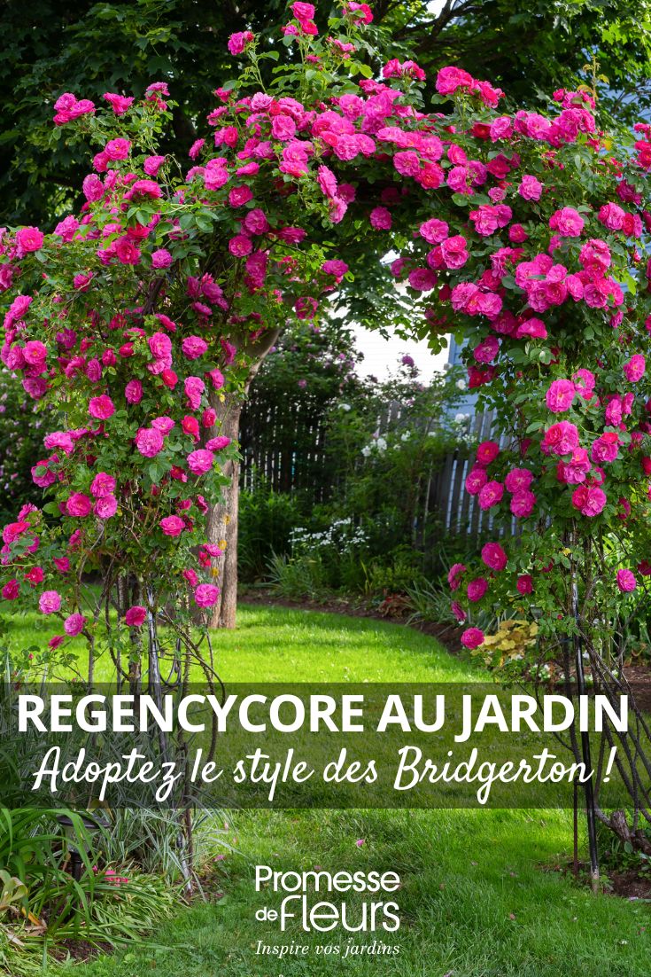 A rose arch in a romantic garden
