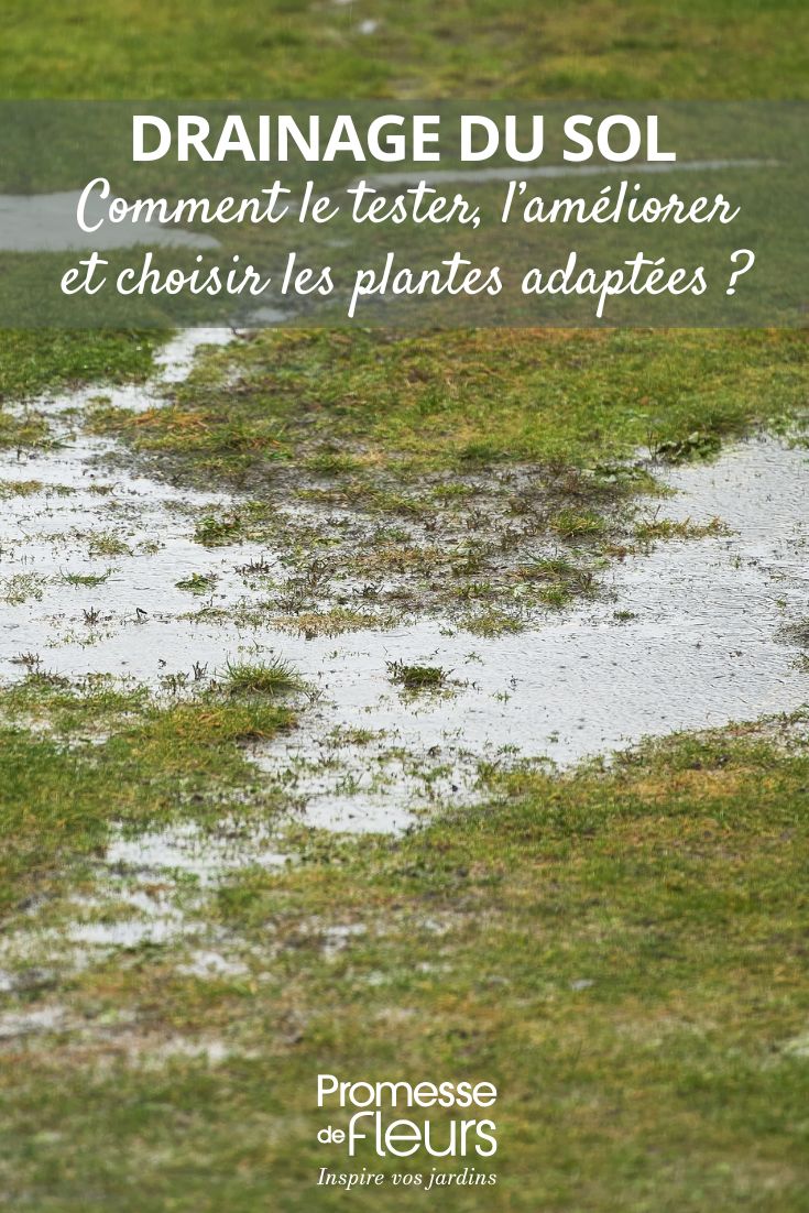 All You Need to Know About Soil Drainage in the Garden improving soil water drainage
