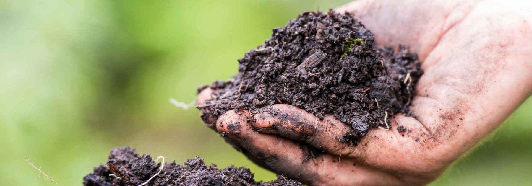 How to enrich your soil naturally with organic amendments?