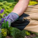 I don't have green fingers: why is that?