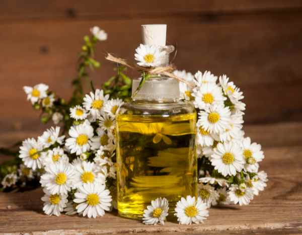 How to Make Chamomile Oil: Our Step-by-Step Guide
