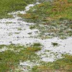 All About Soil Drainage in the Garden